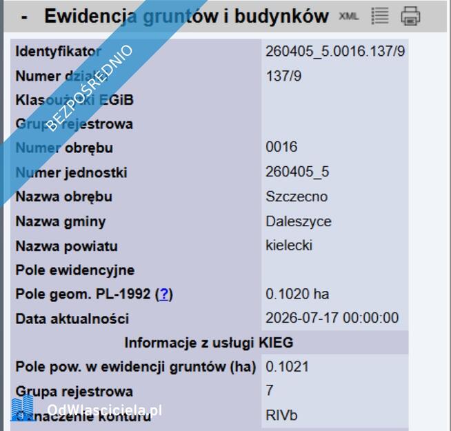Działka w otoczeniu lasów
