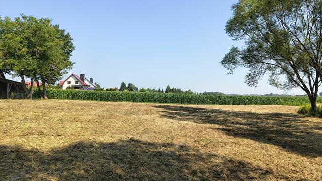 Działka rolno-budowlana 41 arów Dąbrówka Osuchowska