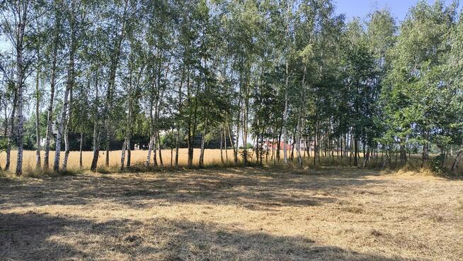 Działka rolno-budowlana 41 arów Dąbrówka Osuchowska
