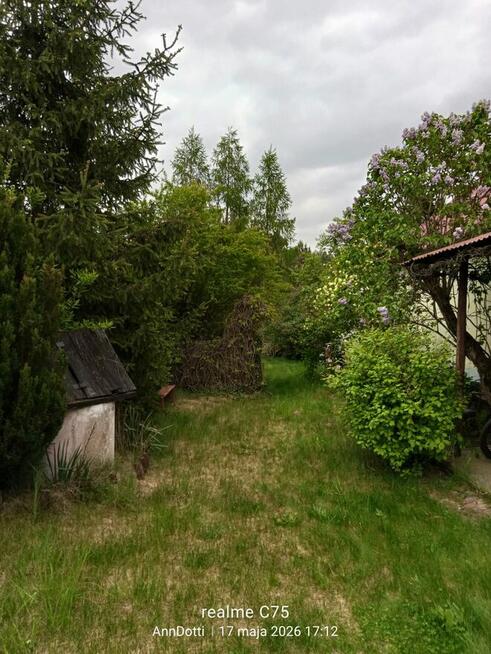 Pilnie sprzedam dom do remontu na działce 1500m²
