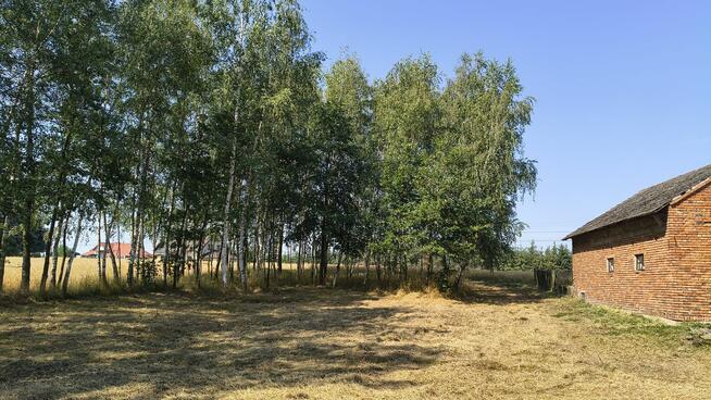 Działka rolno-budowlana 41 arów Dąbrówka Osuchowska