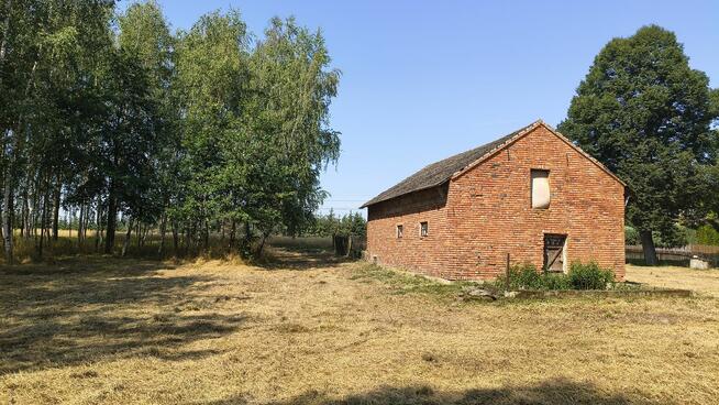 Działka rolno-budowlana 41 arów Dąbrówka Osuchowska