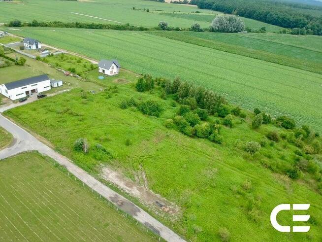 Pęgów | 2810 m² | Budowlana + siedliskowa