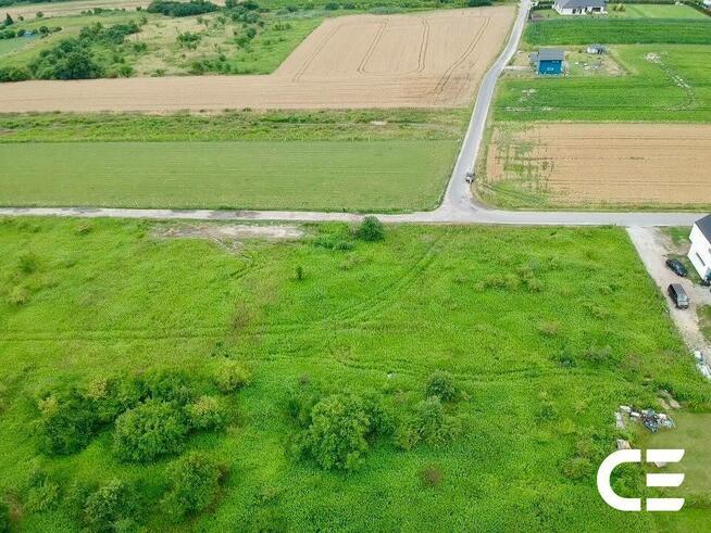 Pęgów | 2810 m² | Budowlana + siedliskowa