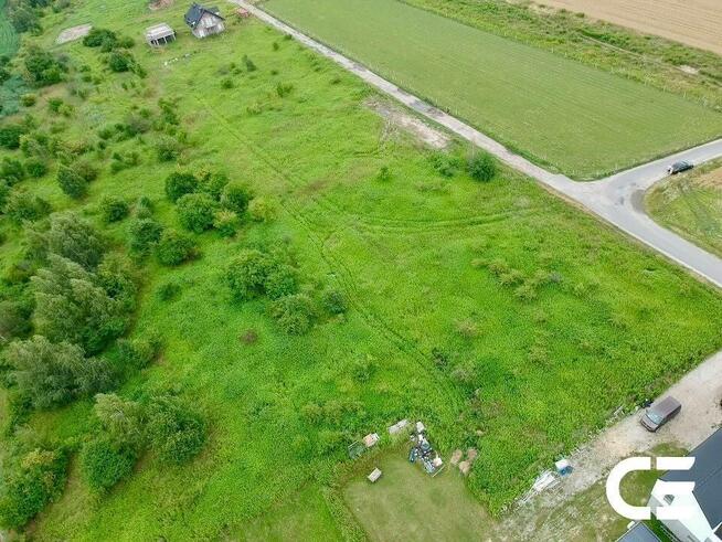 Pęgów | 2810 m² | Budowlana + siedliskowa
