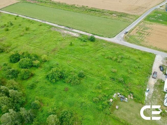 Pęgów | 2810 m² | Budowlana + siedliskowa