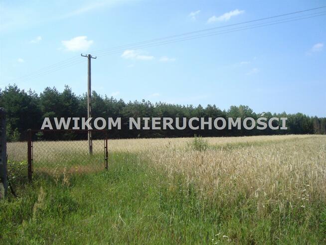 Działka budowlana Borowiec gm. Tarczyn