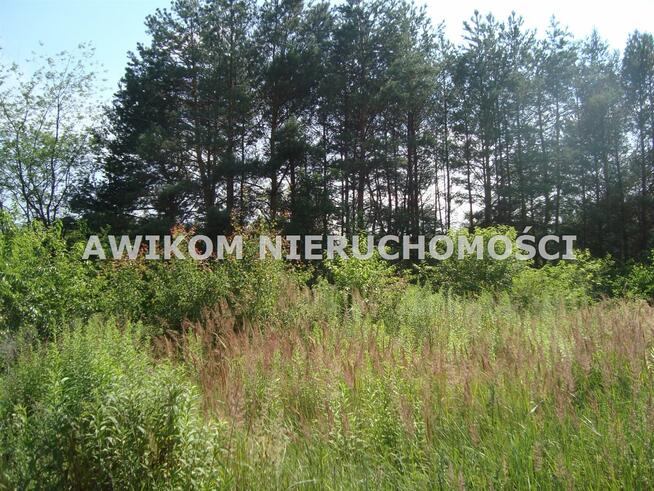 Działka budowlana Many gm. Tarczyn