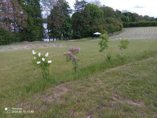 Działka z WZ, linią brzegową jeziora i winnicą