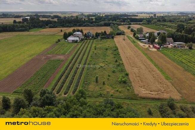 SIEDLISKO NA SPRZEDAŻ!