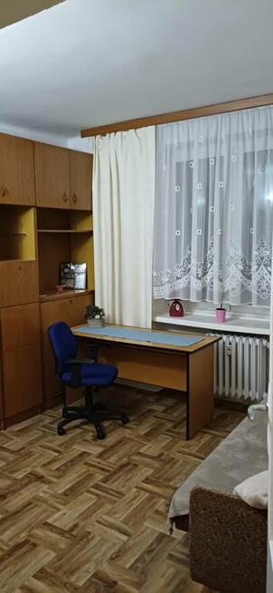 Do wynajęcia 2-pokojowe mieszkanie (50 m²) w centrum