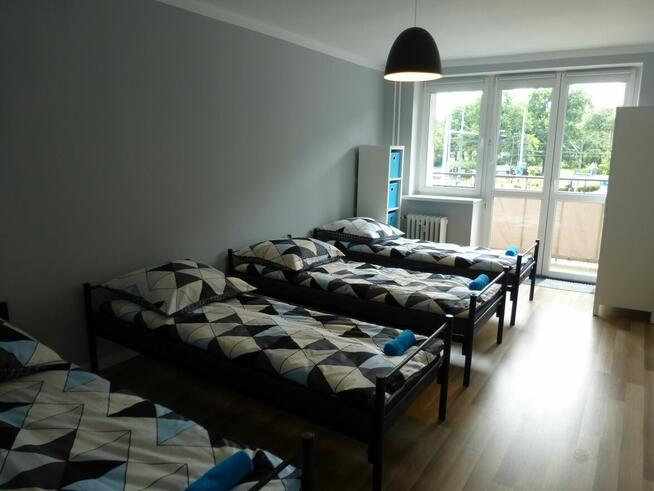 Tani Nocleg Szczecin - Krzywoustego - mieszkanie - apartamen