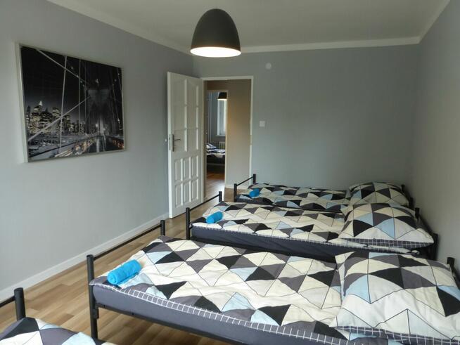 Tani Nocleg Szczecin - Krzywoustego - mieszkanie - apartamen