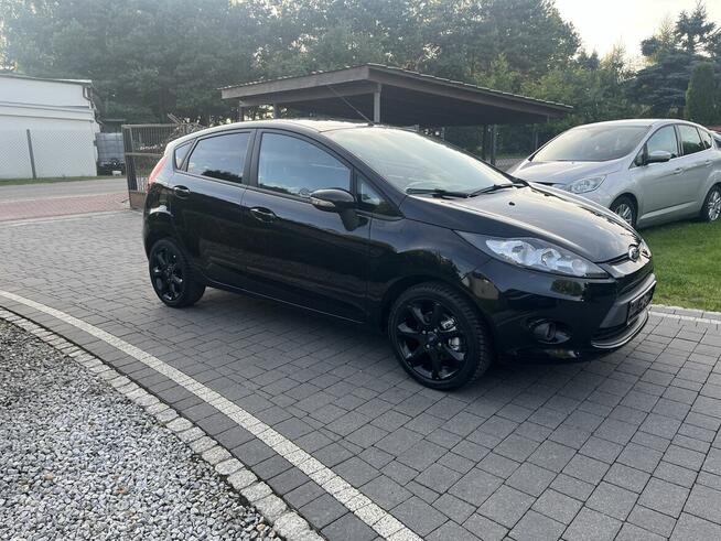 fiesta Mk7 1.25. 82 konie