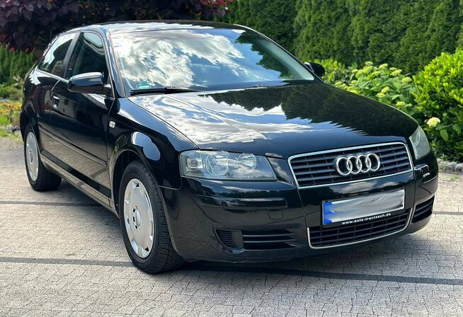 Audi A3 8P 1.6 MPI 101KM Czarna Niski Przebieg Klimatronik Opłacona
