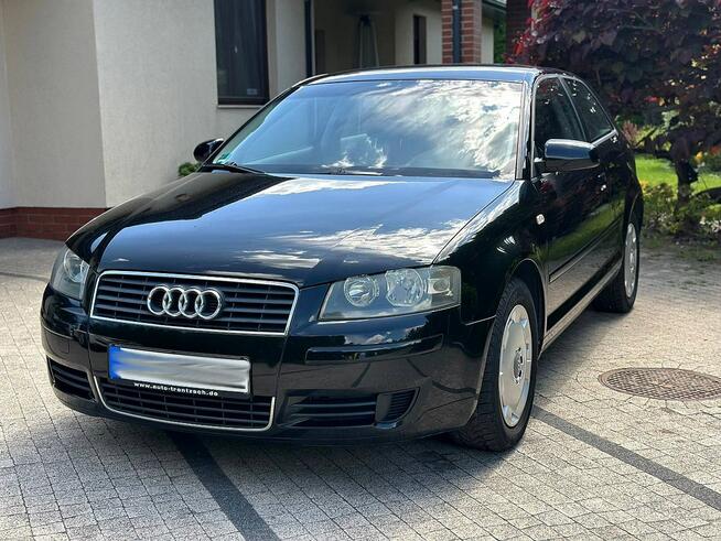 Audi A3 8P 1.6 MPI 101KM Czarna Niski Przebieg Klimatronik Opłacona