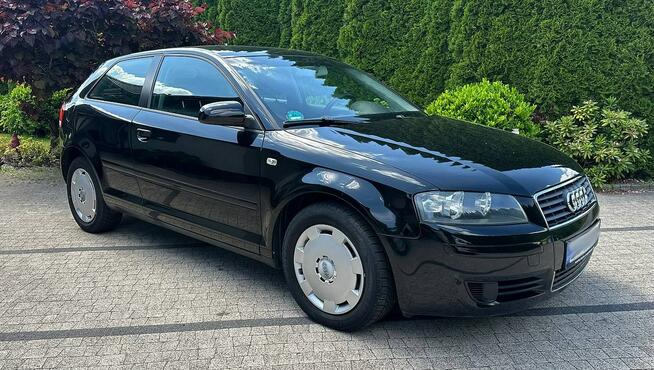 Audi A3 8P 1.6 MPI 101KM Czarna Niski Przebieg Klimatronik Opłacona