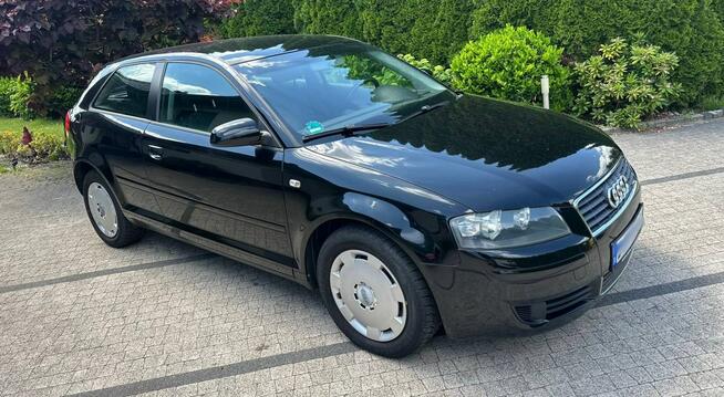 Audi A3 8P 1.6 MPI 101KM Czarna Niski Przebieg Klimatronik Opłacona