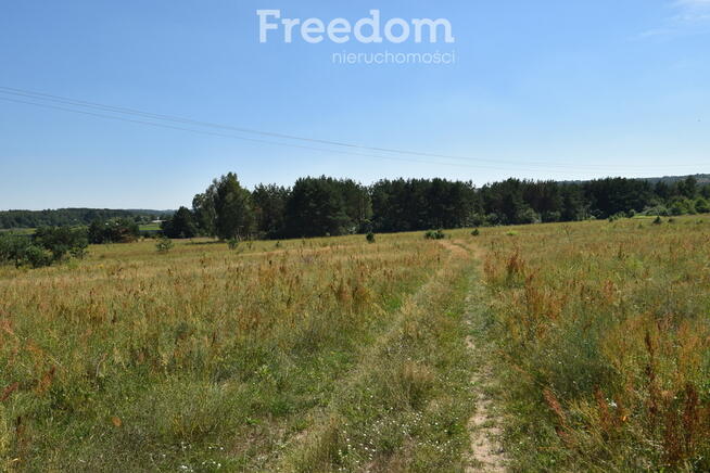 Działka 21 352 m² z częścią budowlaną - Kunów