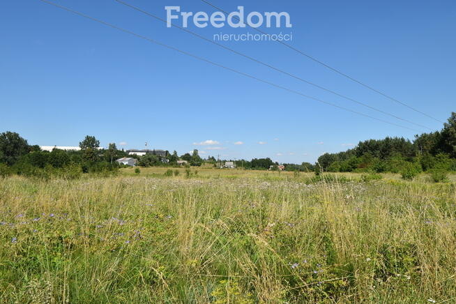 Działka 21 352 m² z częścią budowlaną - Kunów
