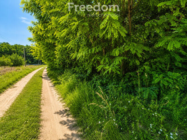 Działki budowlane Guzew | MPZP | od 3000 m² do 1 h
