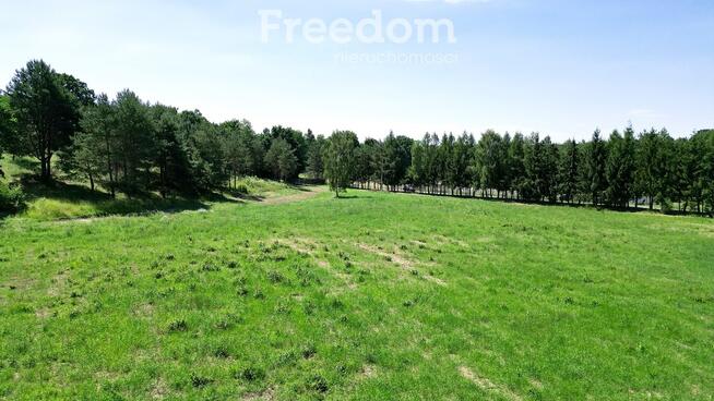 Na sprzedaż: 5 działek! Miłomłyn, Dębinka