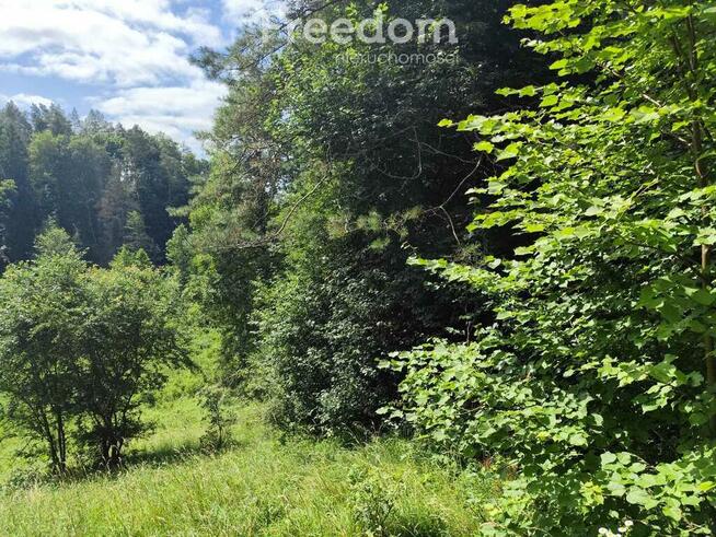 Działka na sprzedaż, Guzowy Piec, jezioro, 1777 m2