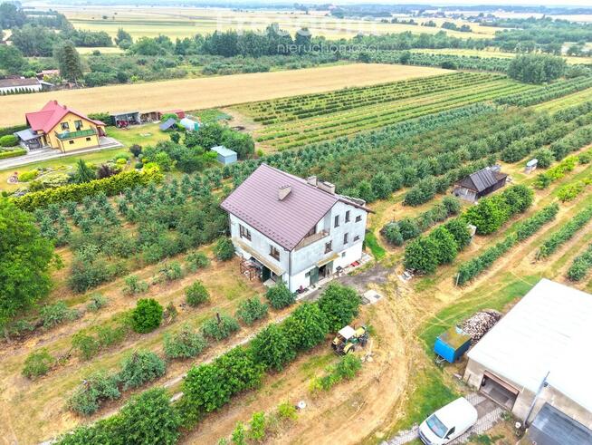 Dom 280 m2 z dochodowym sadem i chłodniami