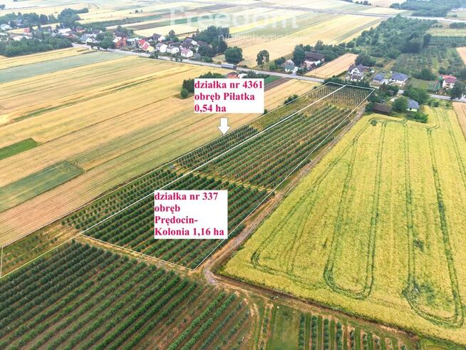 Dom 280 m2 z dochodowym sadem i chłodniami