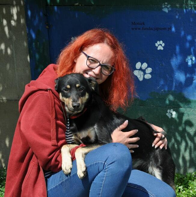 Moniek