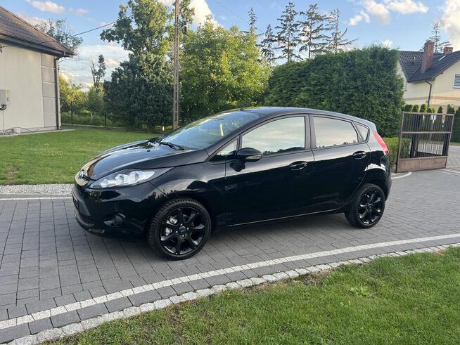 fiesta Mk7 1.25. 82 konie