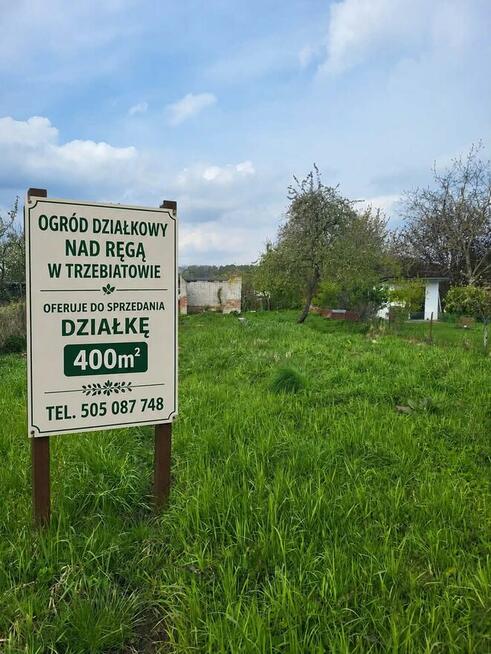 Ogródek działkowy w Trzebiatowie