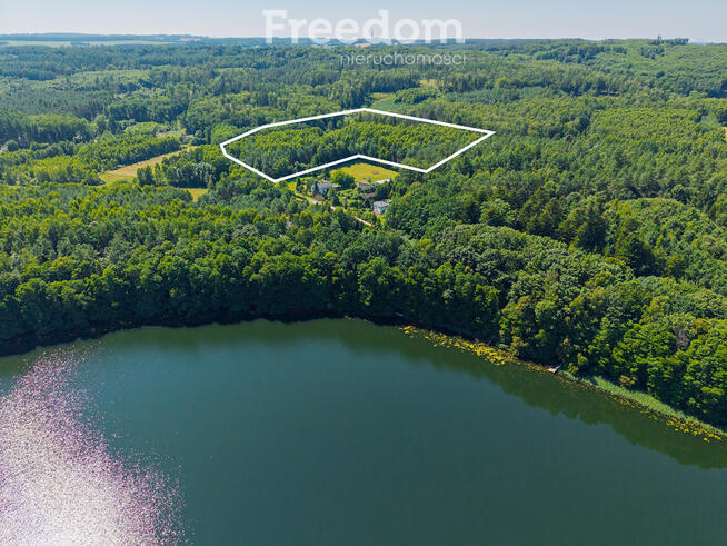 Prywatny las w Kręgu, blisko jeziora