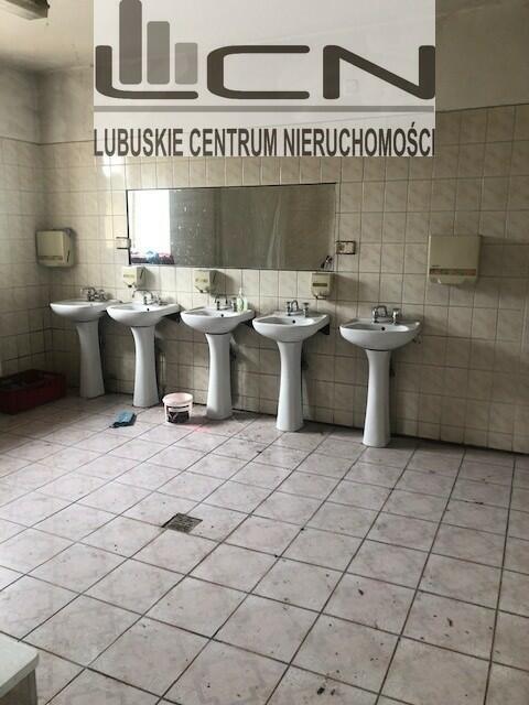 Sprzedaż HALA MAGAZYN Deszczno