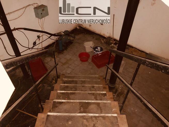 WYNAJMĘ: Lokal w ścisłym centrum Gorzowa 117 m2