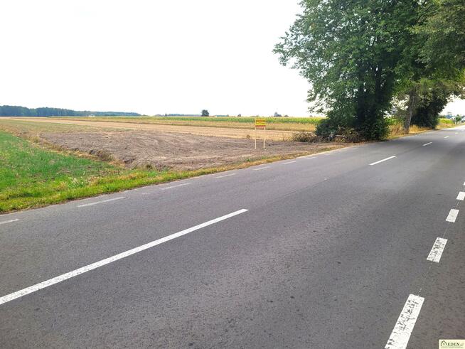Działka rolno-budowlana Role gm. Łuków