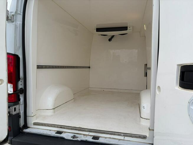 Fiat Ducato chłodnia salon polska