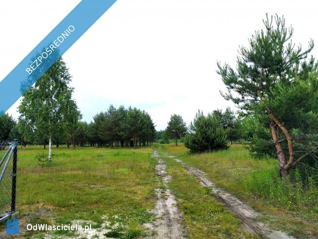 Działka budowlana Z PRĄDEM 1200 m2 NAROŻNA Góra Kalwaria KRZAKI CZAPLINKOWSKIE ulica Główna
