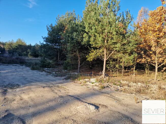 Działki | Budowlane | w Lesie | Krubin -| – Bieńki –