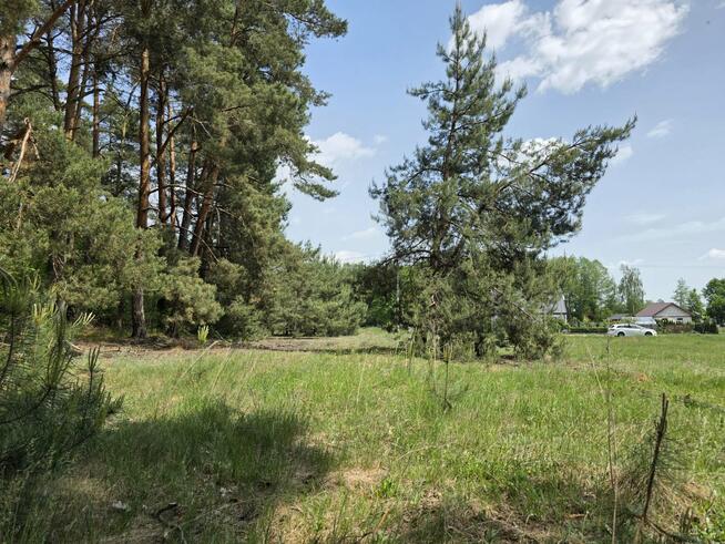 Działka budowlana 3000m2 | Bieńki Śmietanki