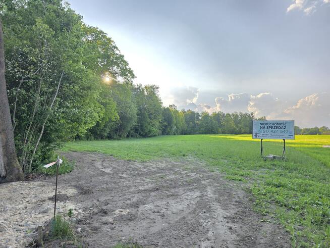 Działka przy Lesie | Z Wydanymi Warunkami Zabudowy