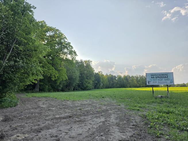Działka przy Lesie | Z Wydanymi Warunkami Zabudowy