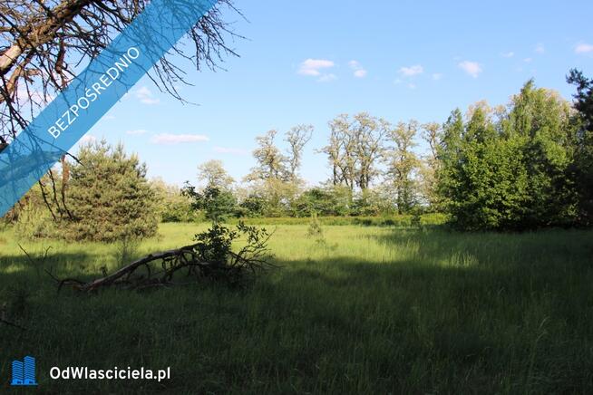 Działka nad rzeką Liswartą | Troniny | możliwość wydzielenia ok. 4000 m² | media | MPZP