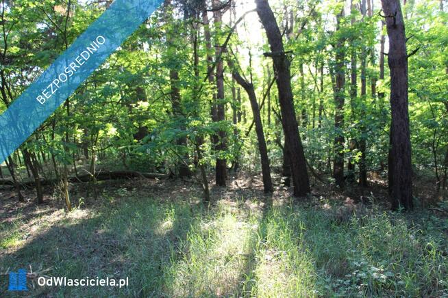 Działka nad rzeką Liswartą | Troniny | możliwość wydzielenia ok. 4000 m² | media | MPZP