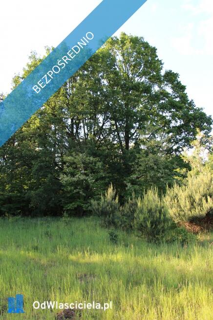 Działka nad rzeką Liswartą | Troniny | możliwość wydzielenia ok. 4000 m² | media | MPZP