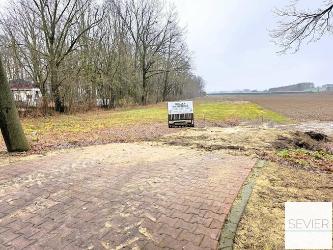 Działki | z Warunkami Zabudowy | Pęchcin, ul. Płocka