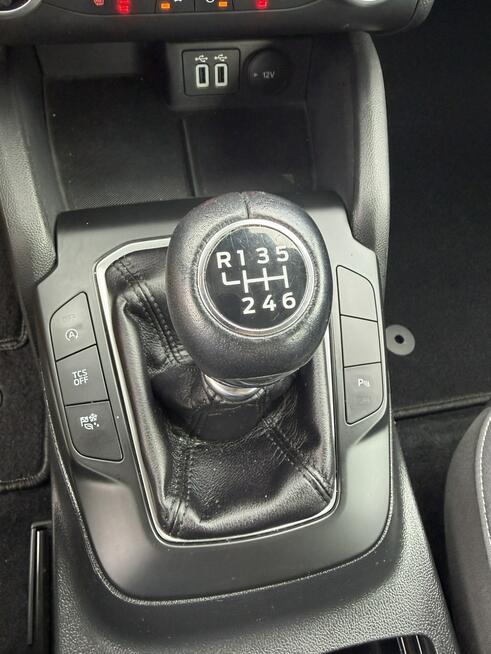 Ford Focus Salon Polska fv23