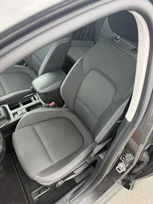 Ford Focus Salon Polska fv23