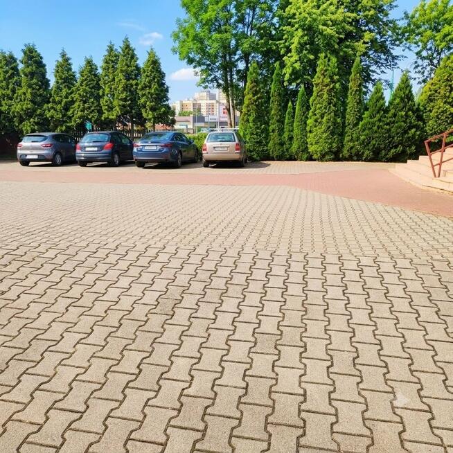 Lokal użytkowy Tychy P