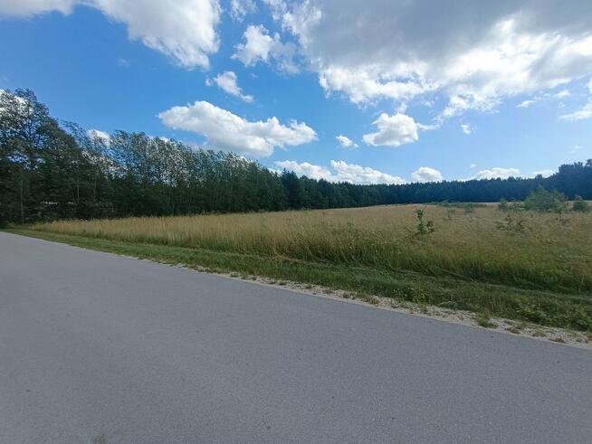 Działka budowlana Daleszyce Borków
